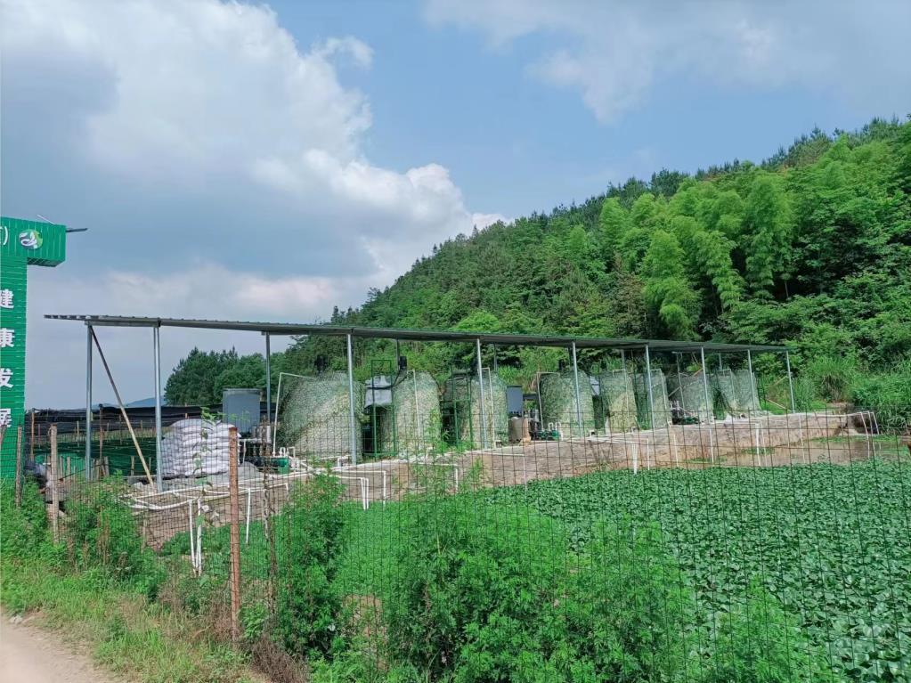 牛蛙養殖汙水處理除磷（lín）加藥